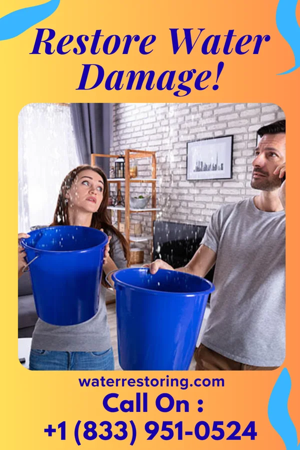water restoration Expert Recovery Fairview