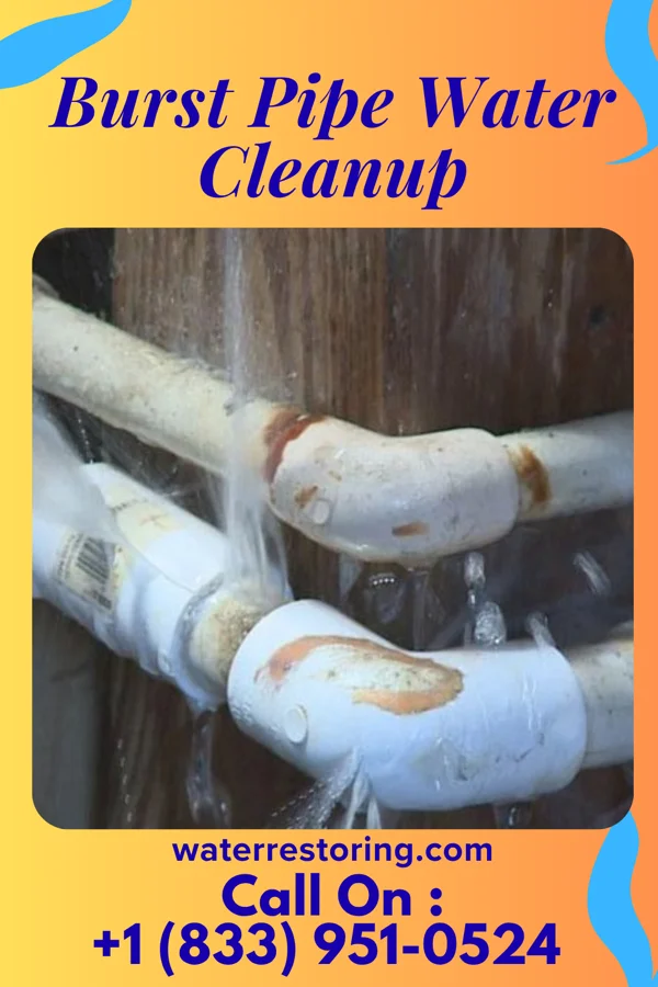 Burst Pipe Water Cleanup in Fairview, KY