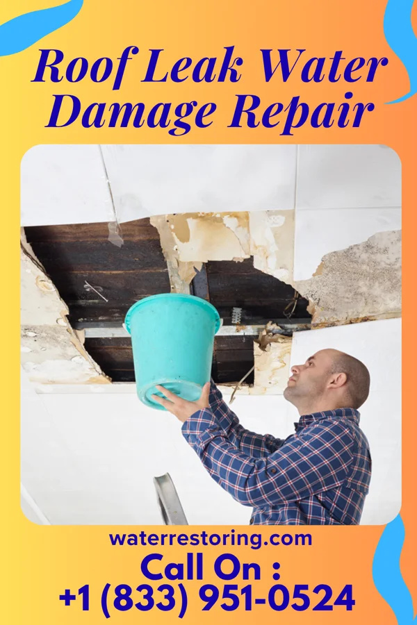 Roof Leak Water Damage Repair in Fairview, KY