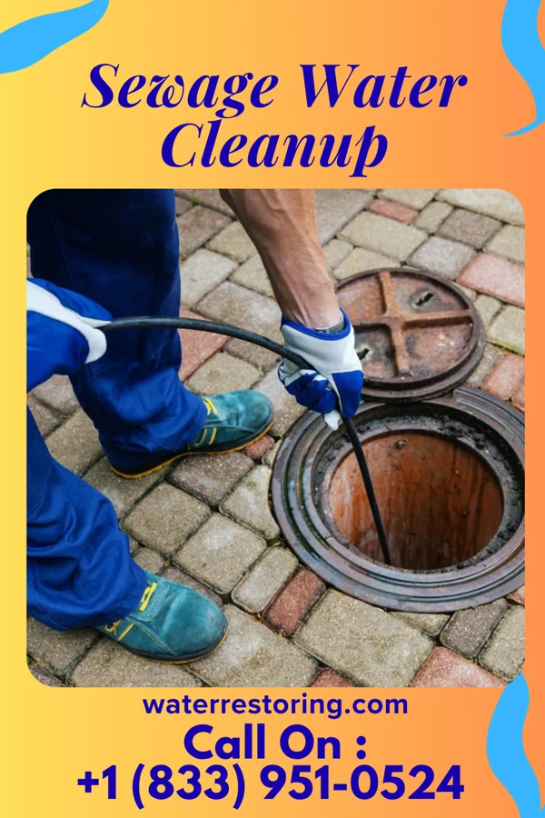 Sewage Water Cleanup in Fairview, KY