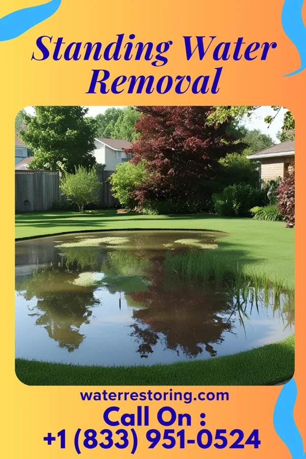 Standing Water Removal in Fairview, KY